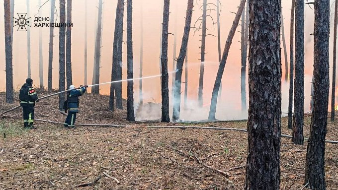 На Харківщині ліквідовують 26 пожеж у лісах і полях